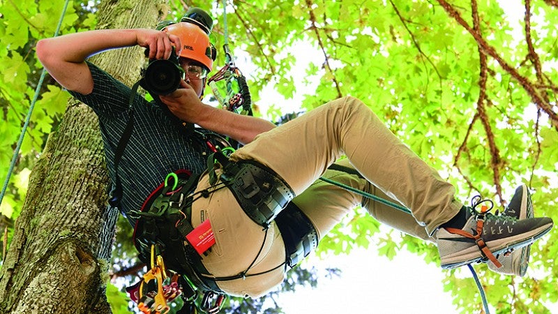 Student hanging from tree with camera equipment. Student hanging from tree with camera equipment.