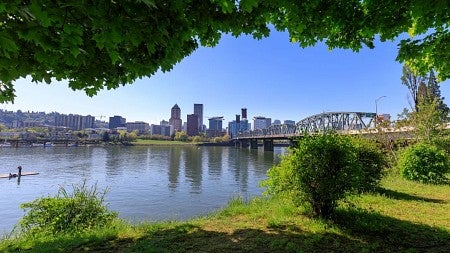portland skyline seen through trees